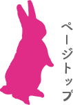 ページトップ